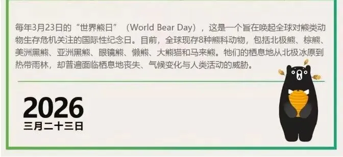 世界熊日:当“熊”走进市场——一场关于恐惧与周期的思考