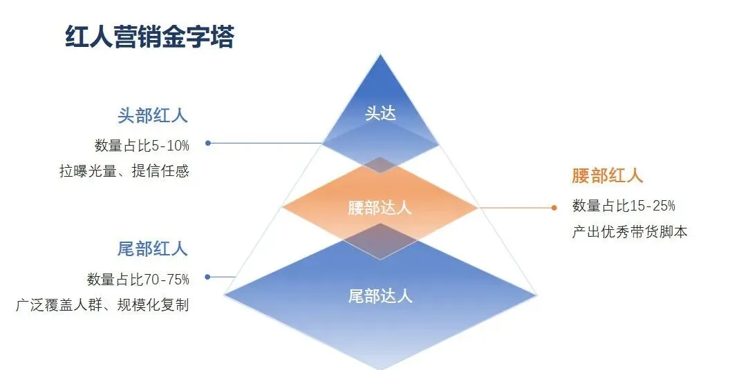 万字硬核干货!讲透TikTok达人营销+广告投放