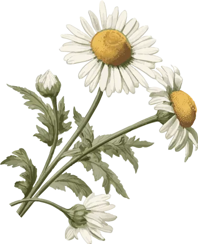 TikTok矩阵营销:泰国跨境电商视频矩阵布局,批量曝光精准引流独立站