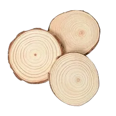 原木市场一周前瞻(20260323)