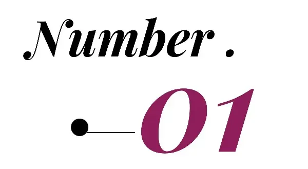 全球第三大宠物市场——巴西 2025 年宠物行业营收破 133 亿美元