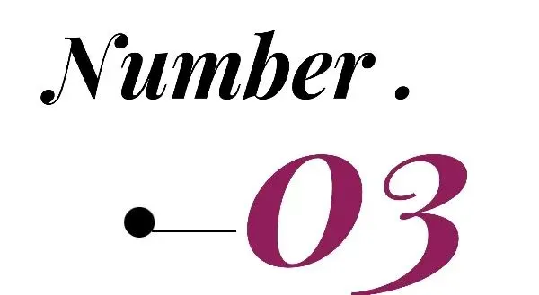 全球第三大宠物市场——巴西 2025 年宠物行业营收破 133 亿美元