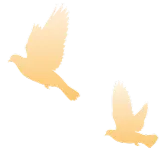 从获客到运营全链路提效,瞬维智能的 AI 方案获行业权威认可