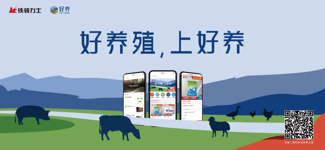 【铁骑力士特约】家禽市场每日简评【3.23】