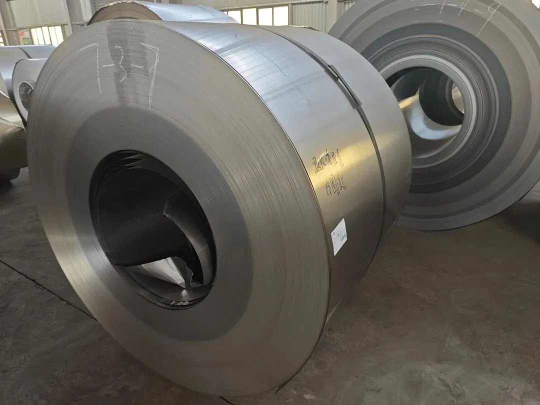 【销售预告】3月25日销售预告