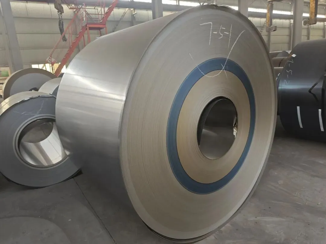 【销售预告】3月25日销售预告