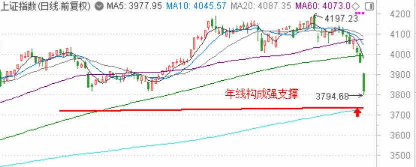 沪指跳空大跌,市场信心受挫
