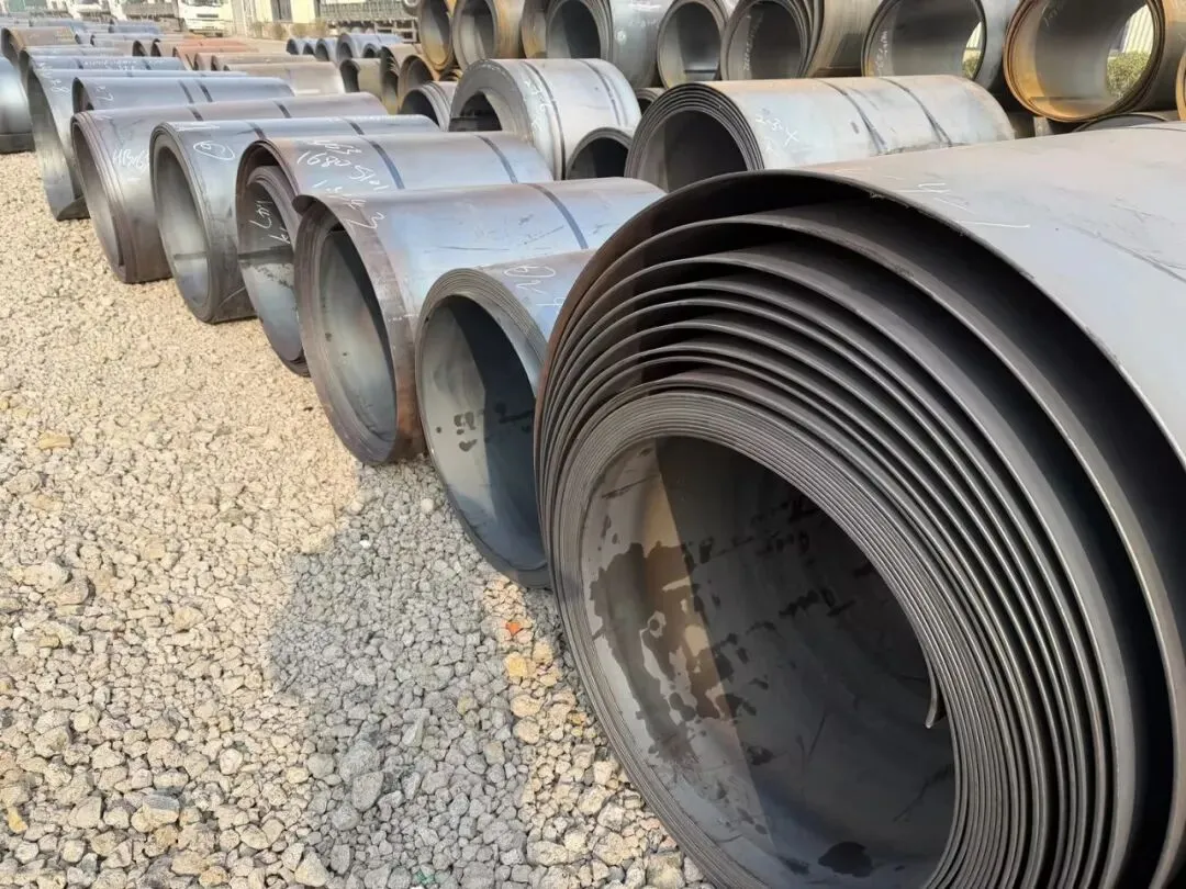 【销售预告】3月25日销售预告