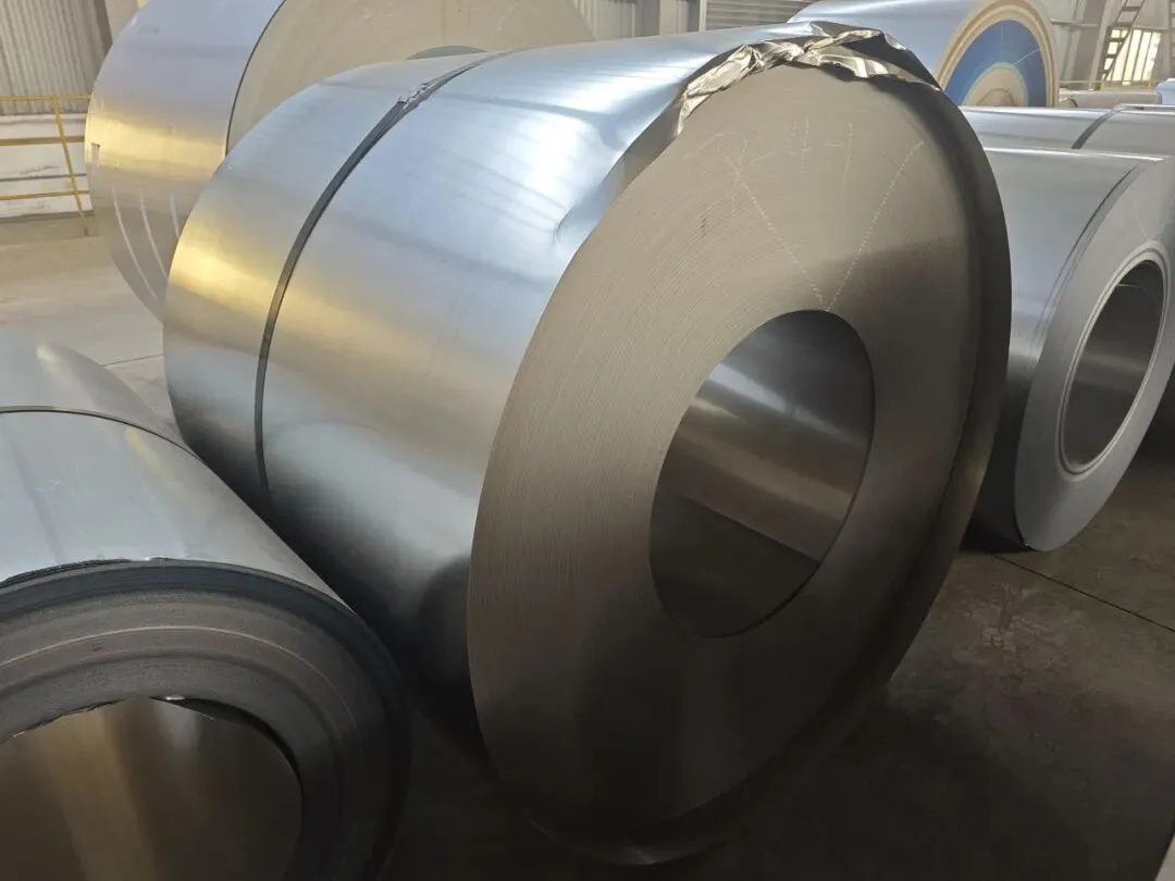 【销售预告】3月25日销售预告