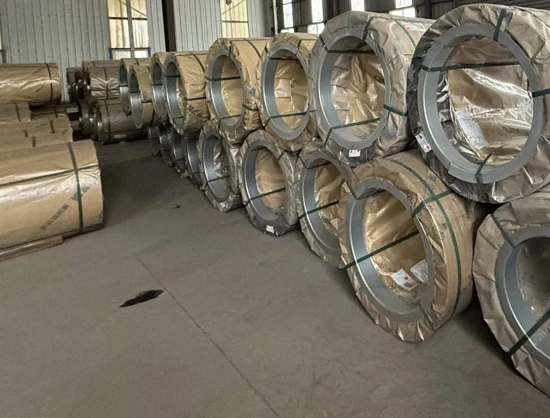 【销售预告】3月25日销售预告