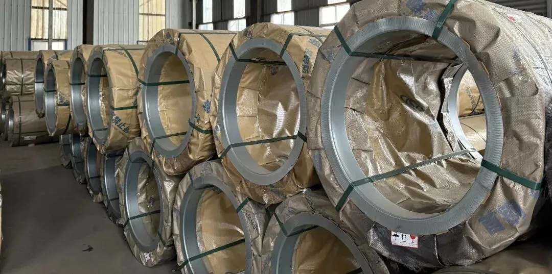 【销售预告】3月25日销售预告