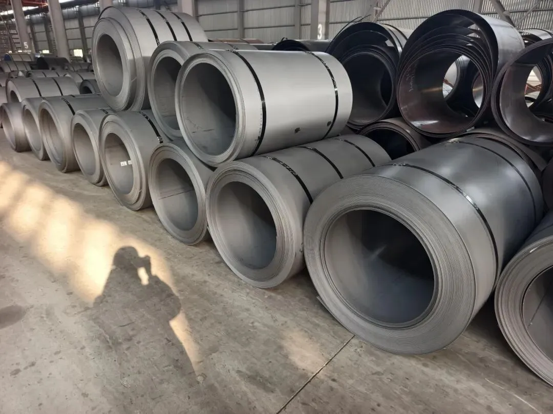 【销售预告】3月25日销售预告