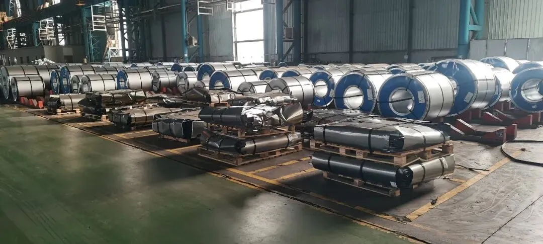 【销售预告】3月25日销售预告