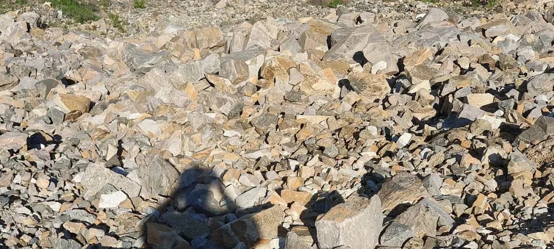 【销售预告】3月25日销售预告