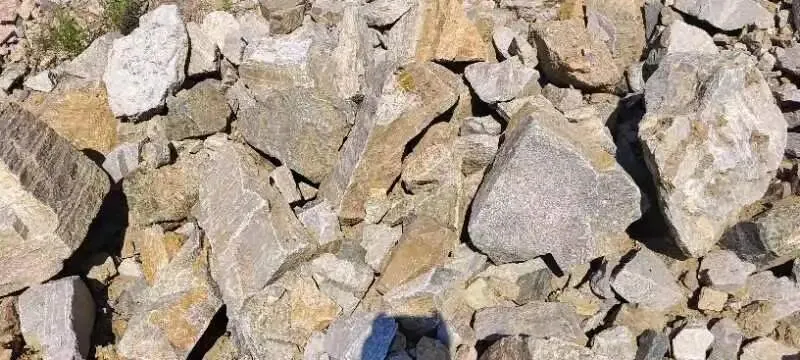 【销售预告】3月25日销售预告