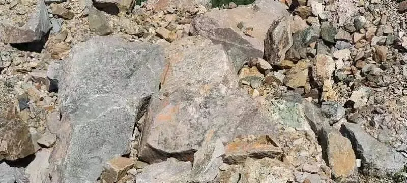 【销售预告】3月25日销售预告