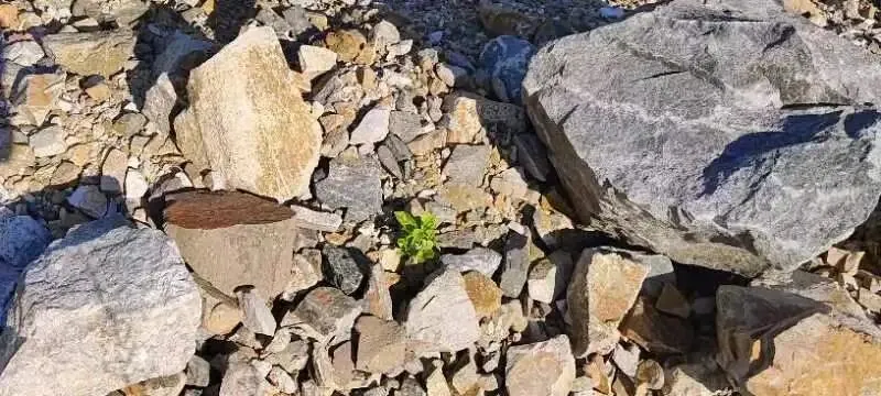 【销售预告】3月25日销售预告