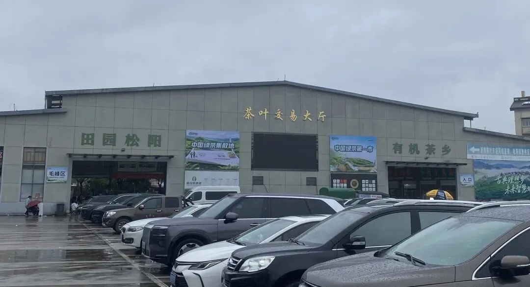 贡茗春出征浙南茶叶市场!