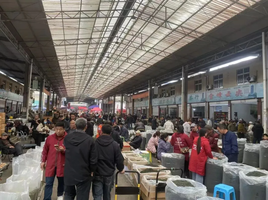 贡茗春出征浙南茶叶市场!