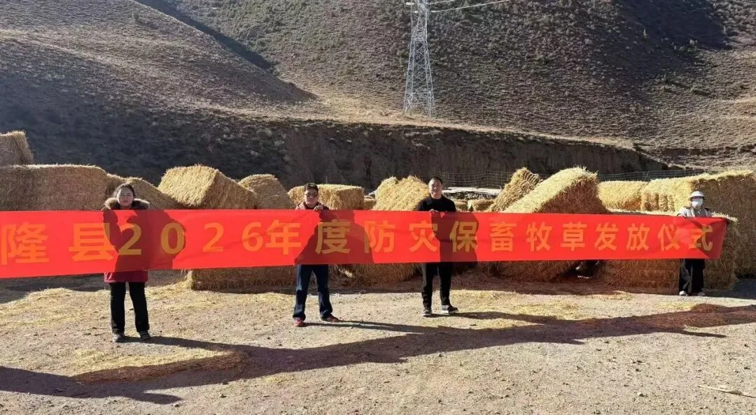 洛隆县营销服务部举办“2026年度防灾保畜牧草发放仪式”
