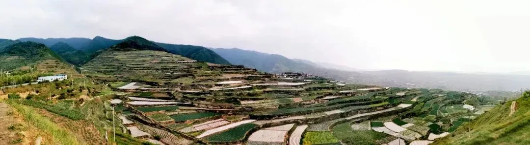 强强联手拓市场!肃源当归鸡(药膳鸡)!甘肃沁园春艺术农业与禾链供应链达成广东独家代理合作