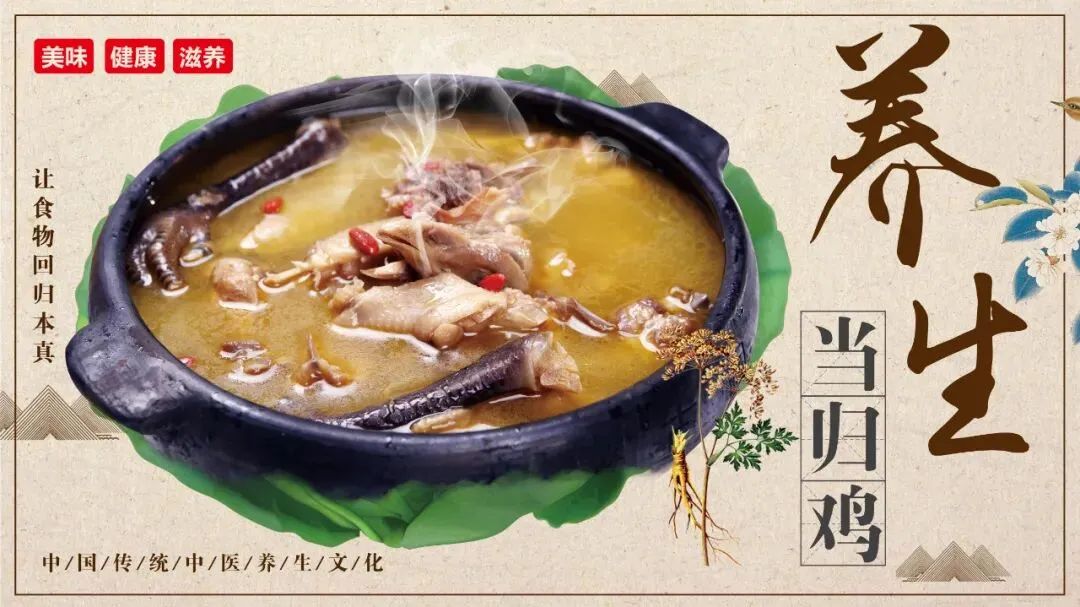 强强联手拓市场!肃源当归鸡(药膳鸡)!甘肃沁园春艺术农业与禾链供应链达成广东独家代理合作