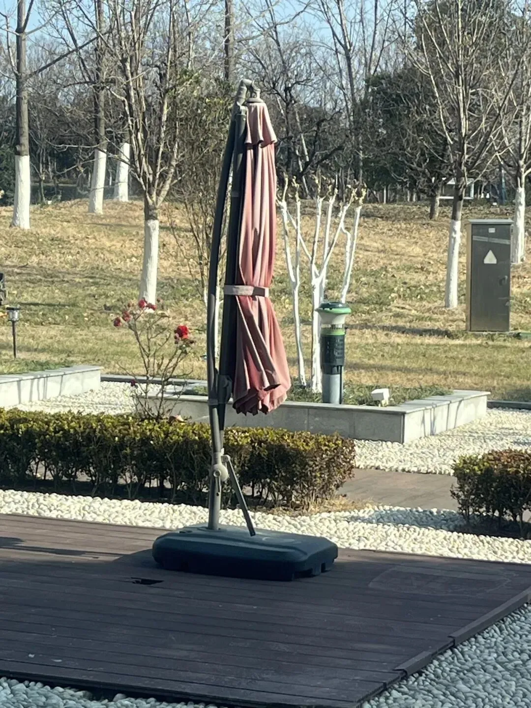 【销售预告】3月25日销售预告