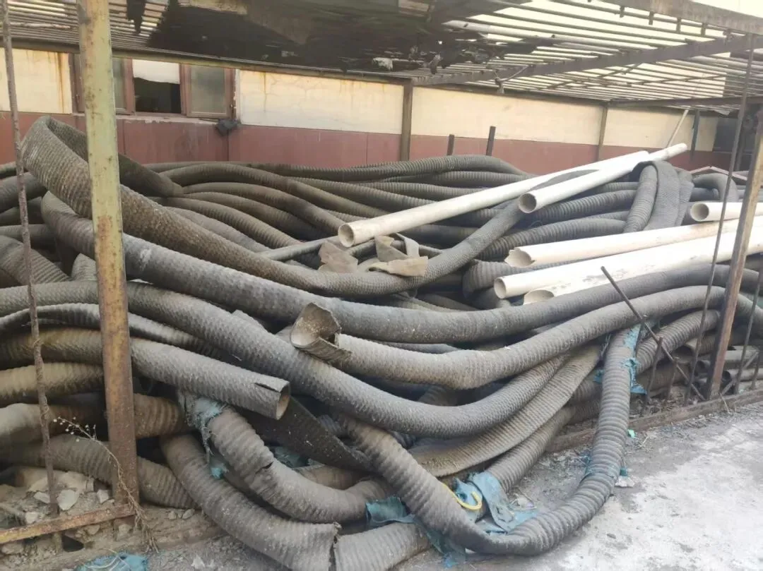 【销售预告】3月25日销售预告