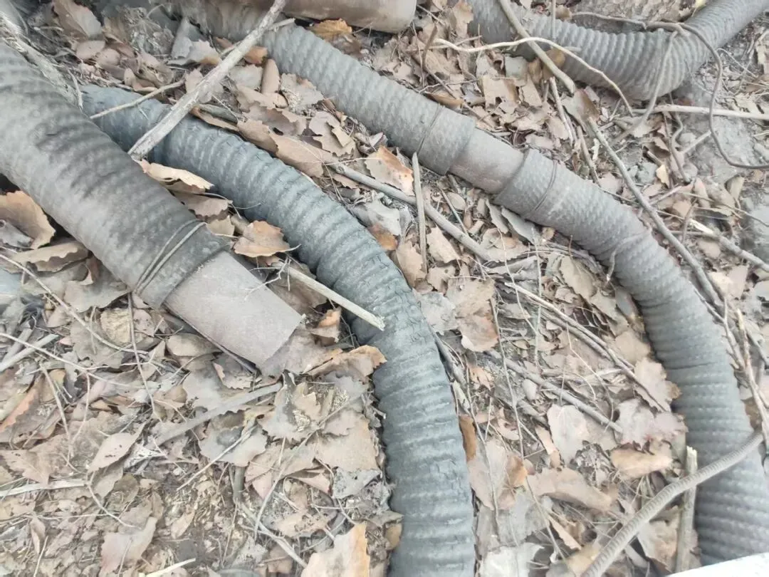 【销售预告】3月25日销售预告