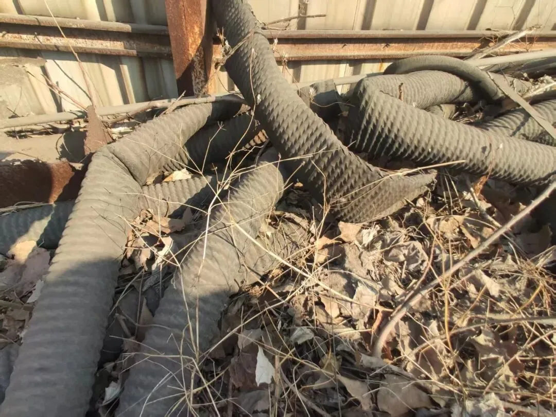 【销售预告】3月25日销售预告