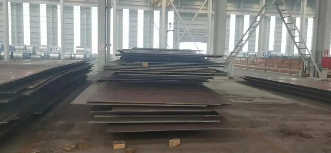 【销售预告】3月25日销售预告