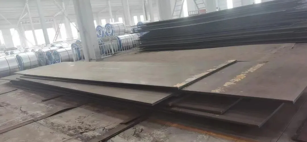 【销售预告】3月25日销售预告