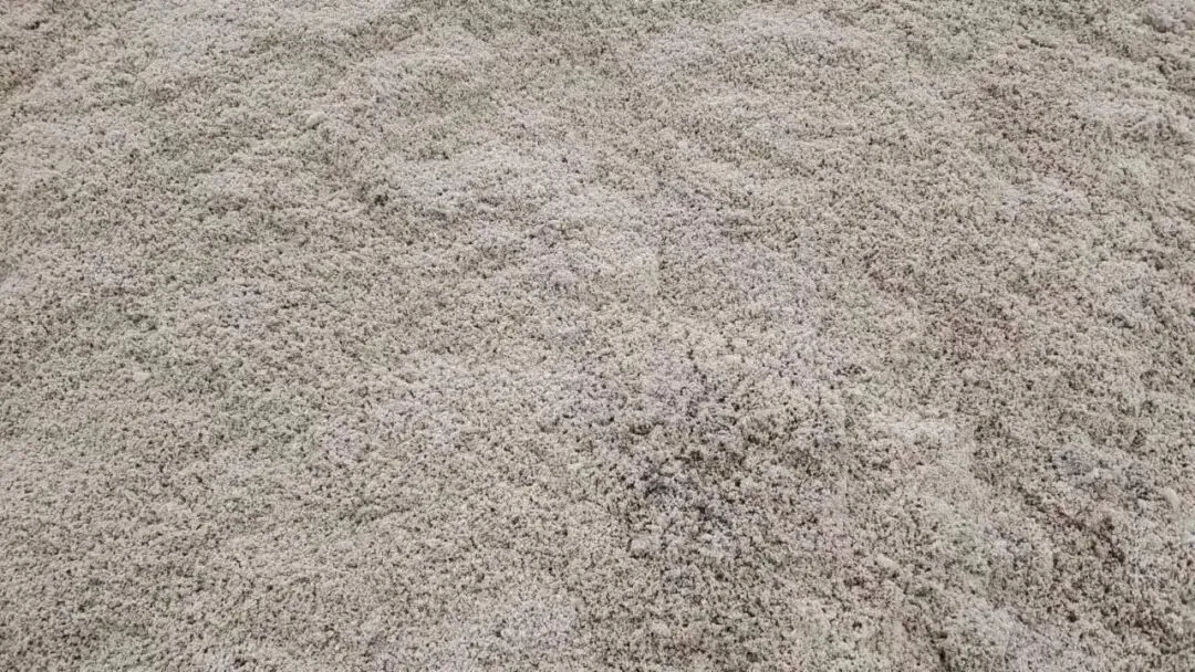 【销售预告】3月25日销售预告