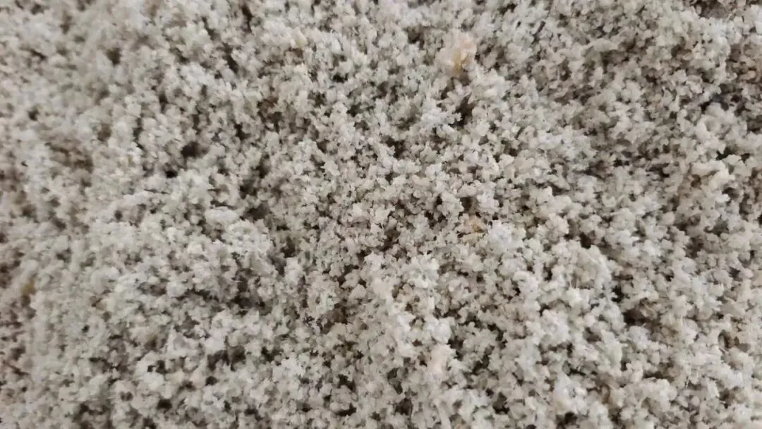 【销售预告】3月25日销售预告