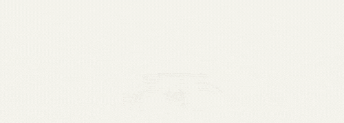 “伶仃问学”思享会第二十五期 | 政治营销视角下的美国大选