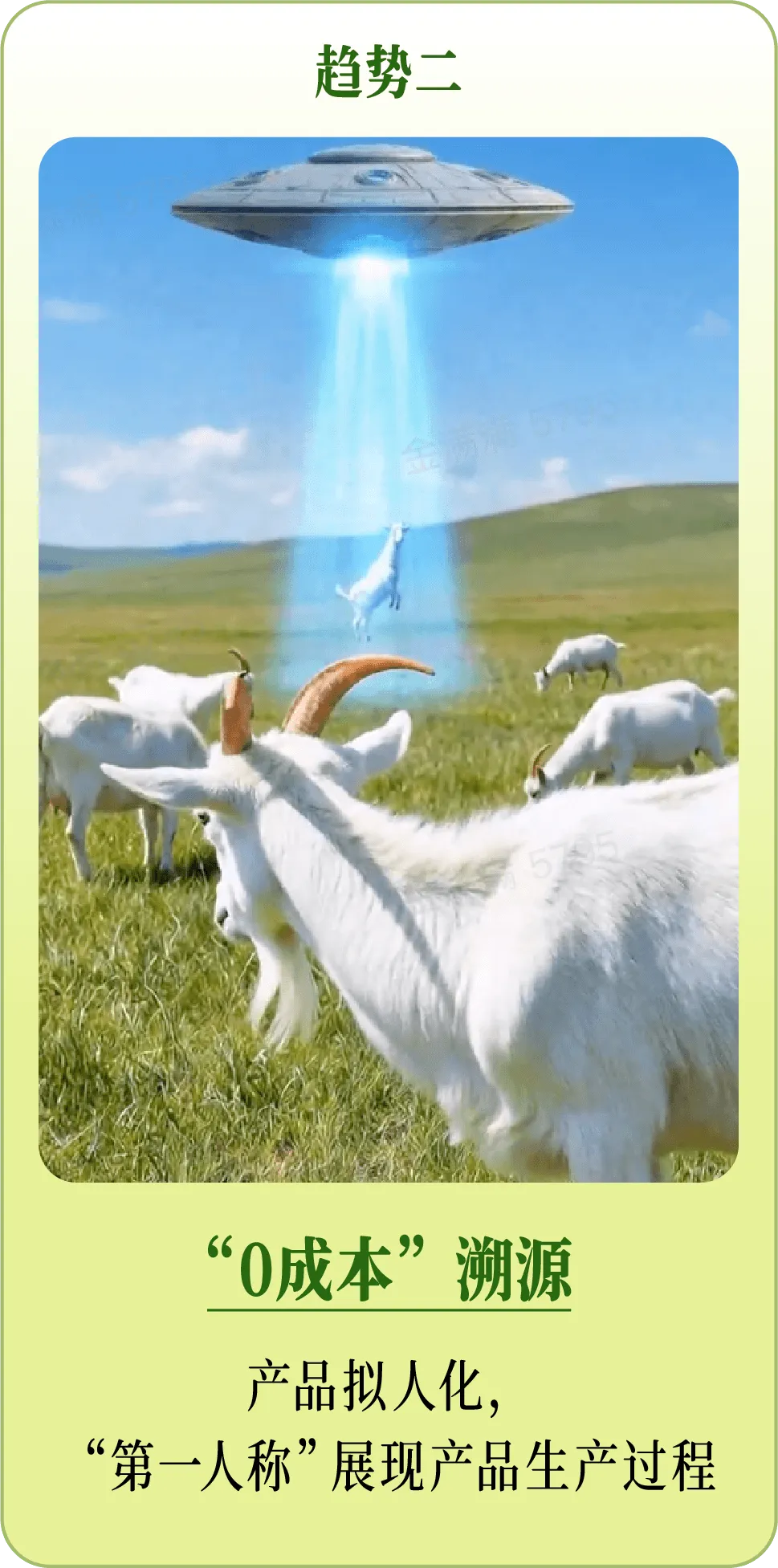 宠物行业春日营销指南发布|抢占“第一口粮”窗口期,实现春季蓄水与年中爆发双丰收