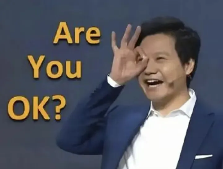 雷军的营销术:撞车还是撞墙?