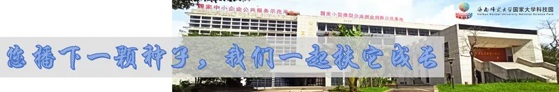 园区活动 | 解锁爆款营销密码 培育双创实战人才——海大科技园数字专题讲座成功举办