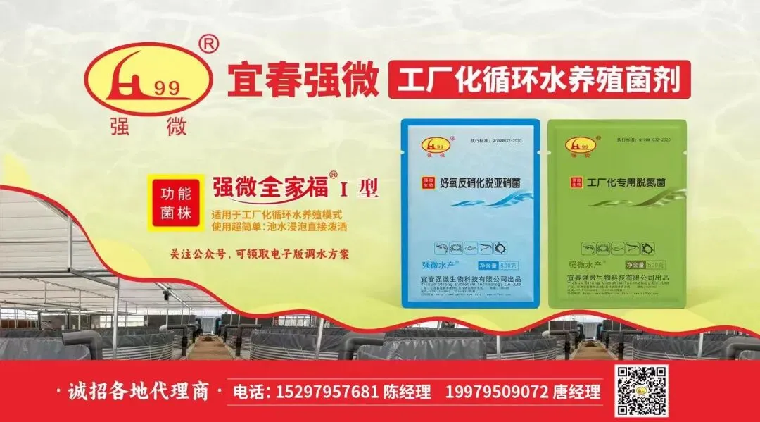 需求爆发!尾水处理展现出好多市场机遇