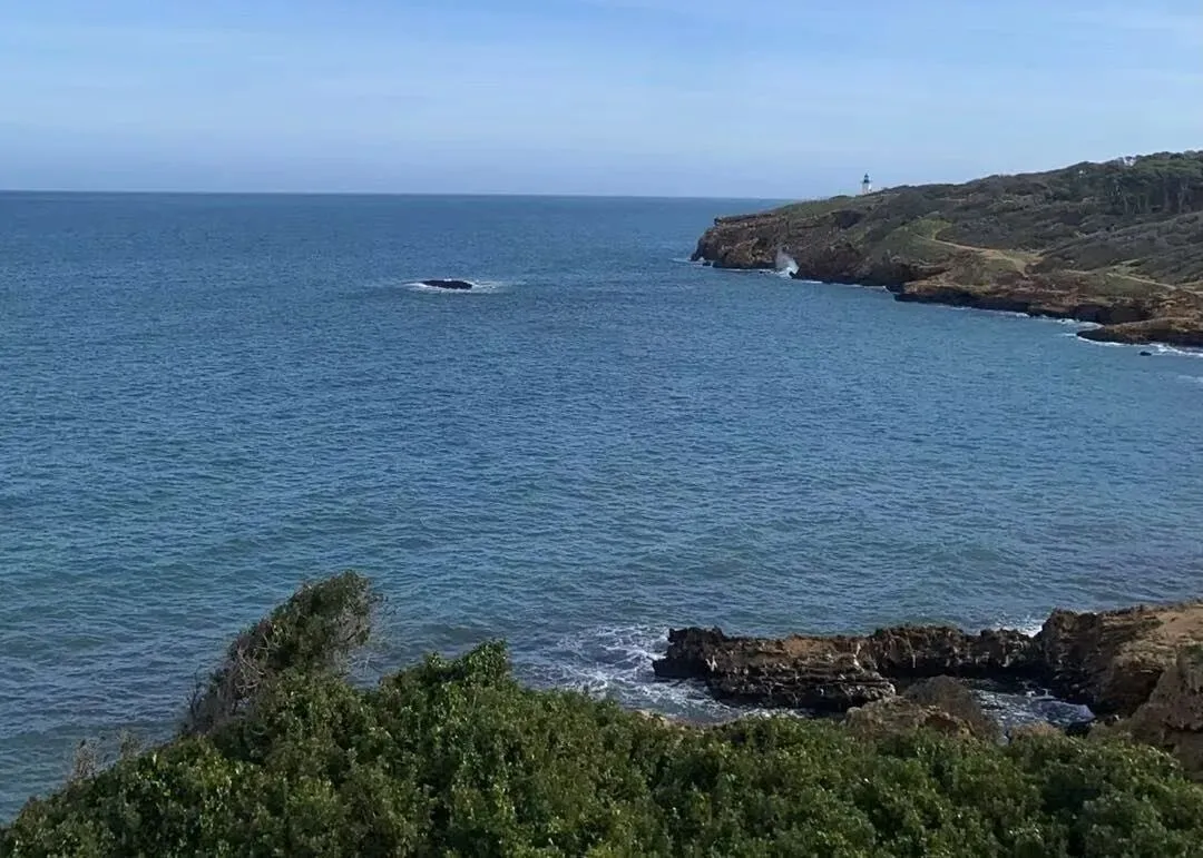 阿尔及利亚市场全解析:个人企业机遇与风险(2026最新版)