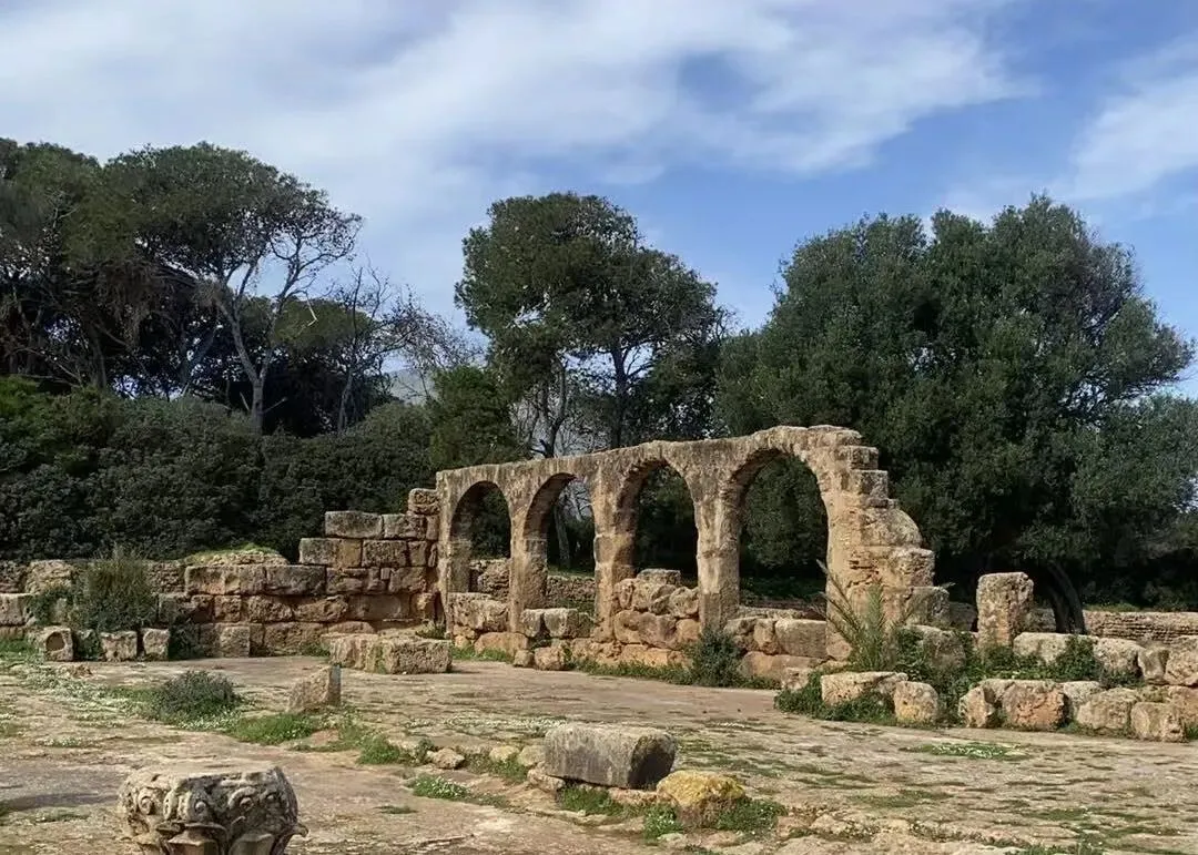 阿尔及利亚市场全解析:个人企业机遇与风险(2026最新版)