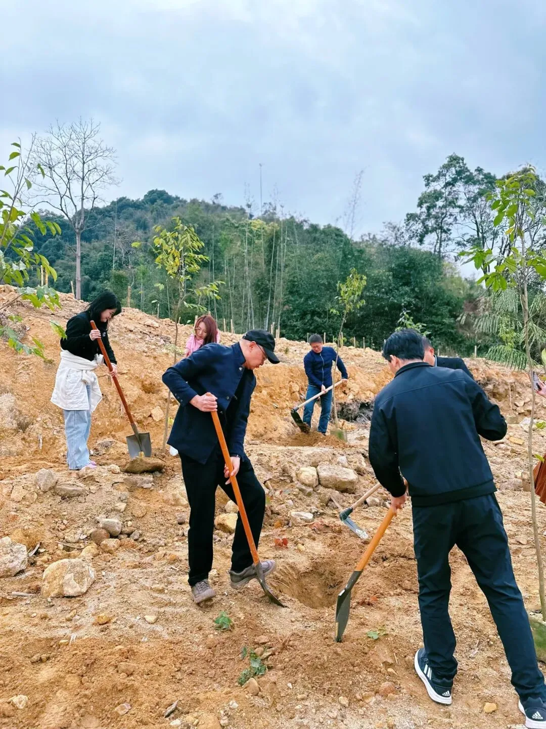 【统战力量】民进花都基层委联合区市场监管局机关第四党支部开展植树共建活动