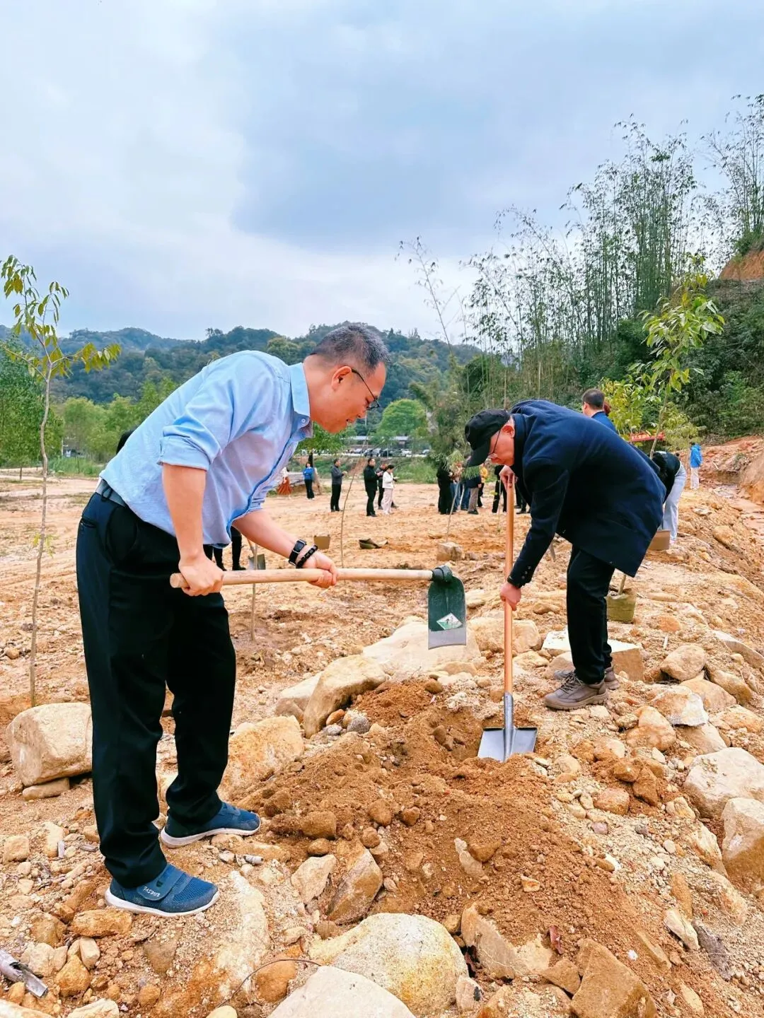 【统战力量】民进花都基层委联合区市场监管局机关第四党支部开展植树共建活动
