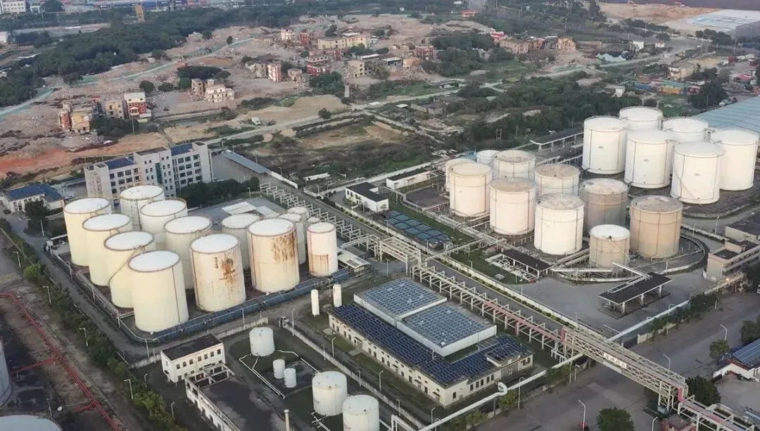 外企高管称中国市场像健身房:洞察背后的机遇与挑战