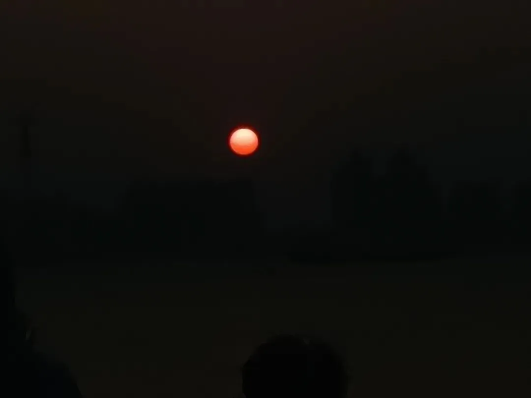 惨烈的市场,不可避免的命运