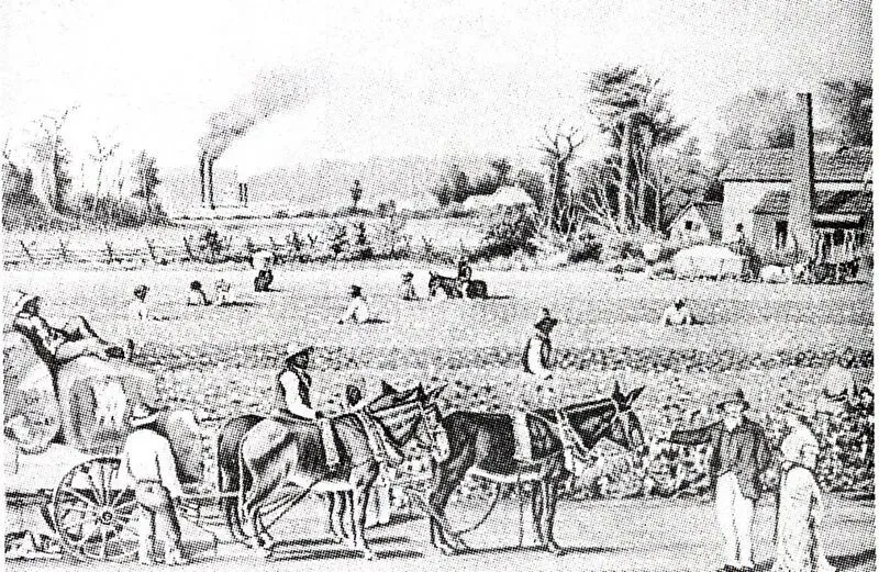 国家承建市场,战略弥补落后——德国工业革命留给后发国家的蜕变密码