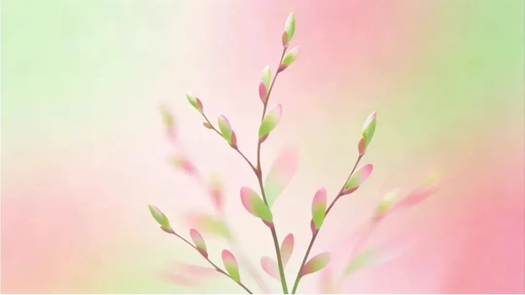 相亲市场上,残酷真相:那个要 10 万彩礼的厂妹注定失败?