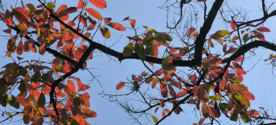 预计市场本周见底