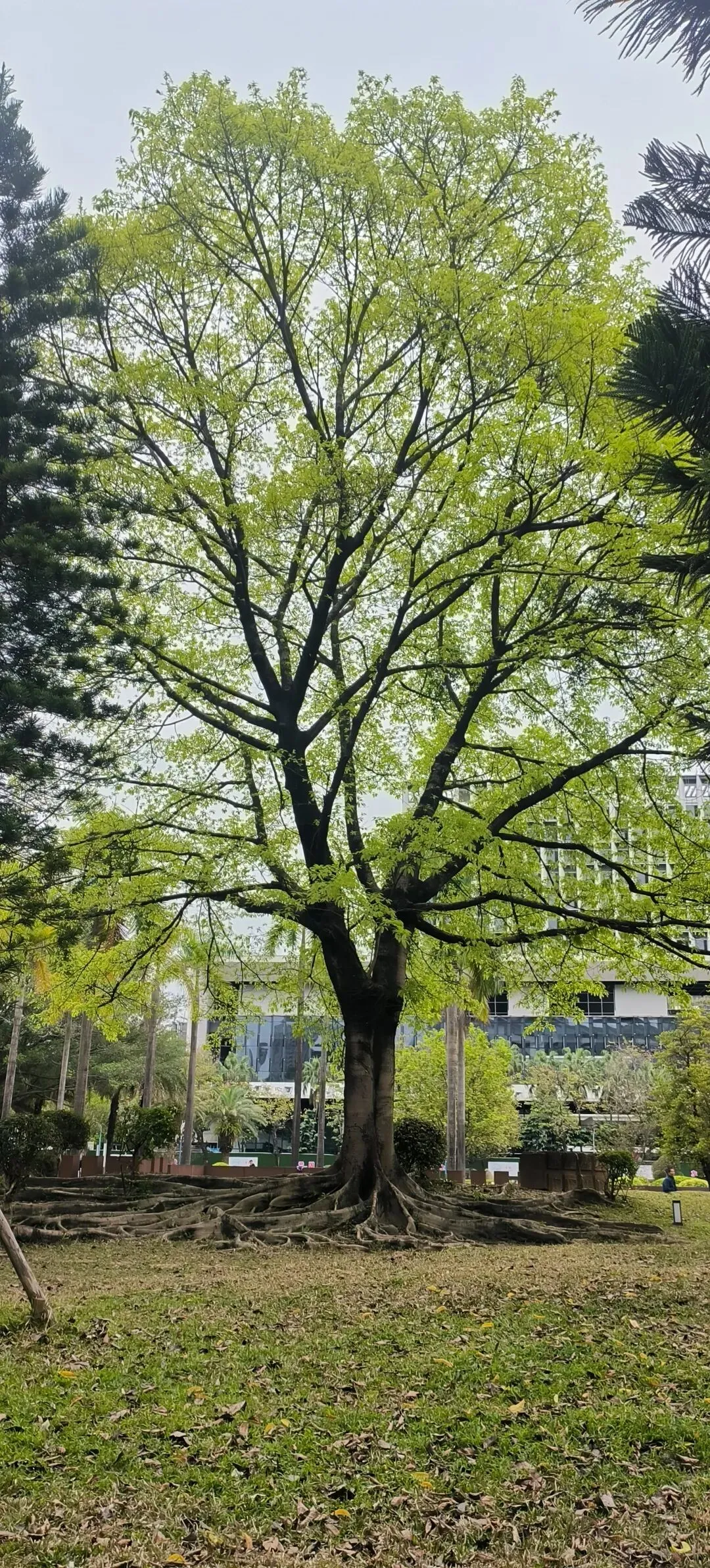 预计市场本周见底