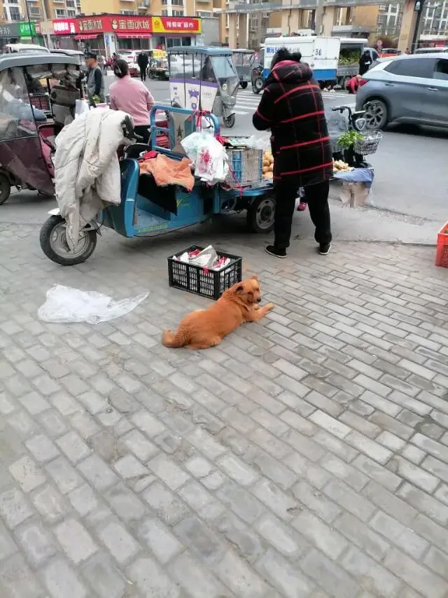 开封市北郊区集贸市场